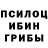 Псилоцибиновые грибы прущие грибы Runner Run