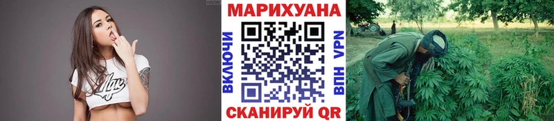 Купить закладки  Болохово  Шишки марихуана планчик 